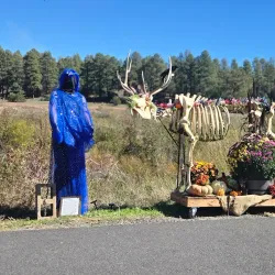 Show Low Creek Trail - Show Low