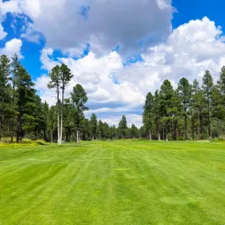 Show Low Golf Course - Show Low