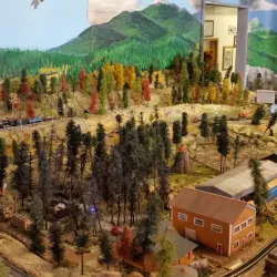 Show Low Historical Museum - Show Low