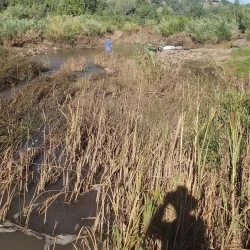 The White Mountain Lake - Show Low