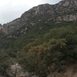 Carr Canyon Trail - Sierra Vista