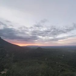 Carr Canyon Trail - Sierra Vista