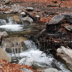 Ramsey Canyon Preserve - Sierra Vista