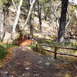 Ramsey Canyon Preserve - Sierra Vista