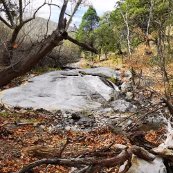 Ramsey Canyon Preserve - Sierra Vista