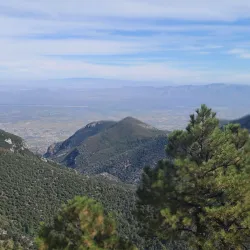 Ramsey Canyon Preserve - Sierra Vista