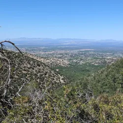 Ramsey Canyon Preserve - Sierra Vista