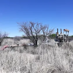 San Pedro Riparian National Conservation Area - Sierra Vista