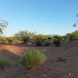 San Pedro Riparian National Conservation Area - Sierra Vista