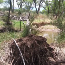 San Pedro Riparian National Conservation Area - Sierra Vista