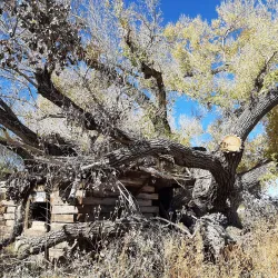 San Pedro Riparian National Conservation Area - Sierra Vista