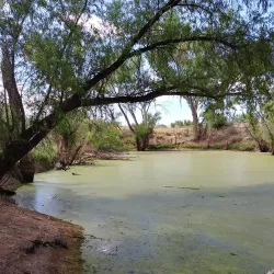 San Pedro Riparian National Conservation Area - Sierra Vista