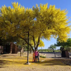 Sierra Vista Public Library - Sierra Vista