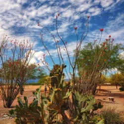 Sierra Vista Public Library - Sierra Vista