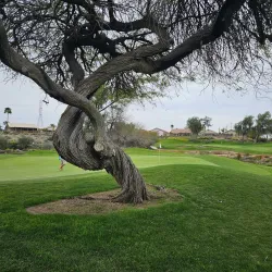 Coyote Lakes Golf Course - Surprise