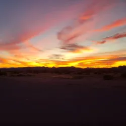 Coyote Lakes Golf Course - Surprise