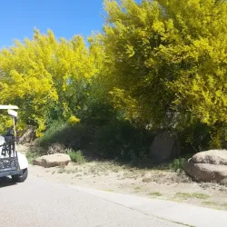 Coyote Lakes Golf Course - Surprise