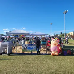 Mark Coronado Park - Surprise