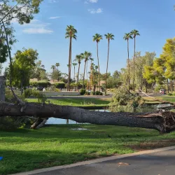 Sun Village Golf Course - Surprise