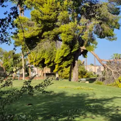 Sun Village Golf Course - Surprise