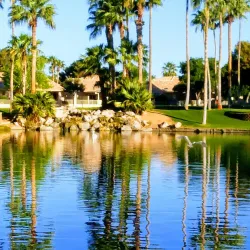 Sun Village Golf Course - Surprise