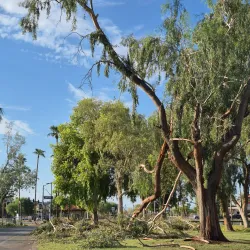 Sun Village Golf Course - Surprise