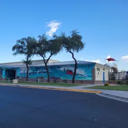 Surprise Aquatic Center - Surprise