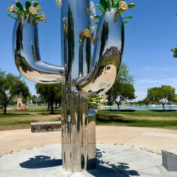 Surprise Community Park - Surprise