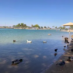 Surprise Community Park - Surprise