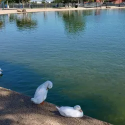 Surprise Community Park - Surprise