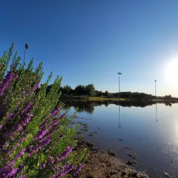 Surprise Heritage Museum - Surprise