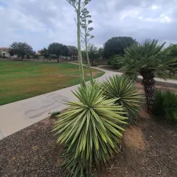 Surprise Heritage Museum - Surprise