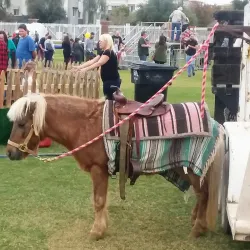 Surprise Recreation Campus - Surprise