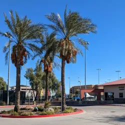 Surprise Tennis and Racquet Complex - Surprise