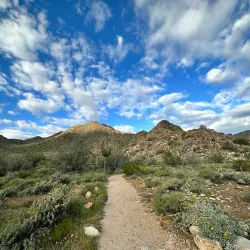 White Tank Mountain Regional Park - Surprise