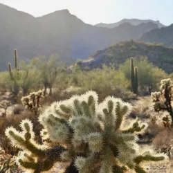 White Tank Mountain Regional Park - Surprise