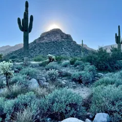 White Tank Mountain Regional Park - Surprise
