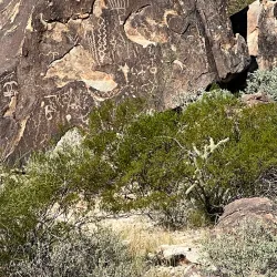 White Tank Mountain Regional Park - Surprise