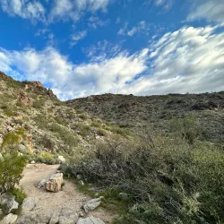 White Tank Mountain Regional Park - Surprise