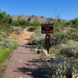 White Tank Mountain Regional Park - Surprise