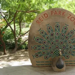 Reid Park Zoo - Tucson