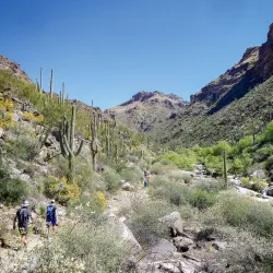 Sabino Canyon Recreation Area - Tucson