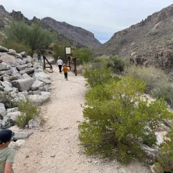 Sabino Canyon Recreation Area - Tucson