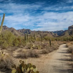 Sabino Canyon Recreation Area - Tucson