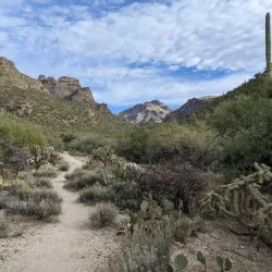 Sabino Canyon Recreation Area - Tucson