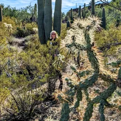 Saguaro National Park - Tucson