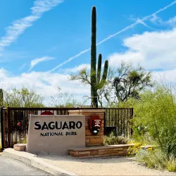 Saguaro National Park - Tucson