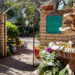 Tucson Botanical Gardens - Tucson