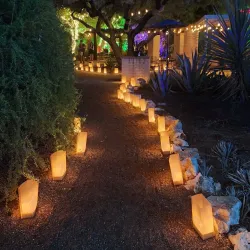 Tucson Botanical Gardens - Tucson