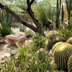 Tucson Botanical Gardens - Tucson